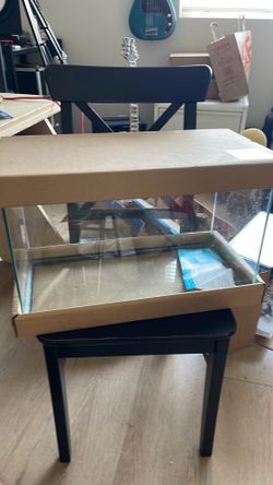 Fish Tank