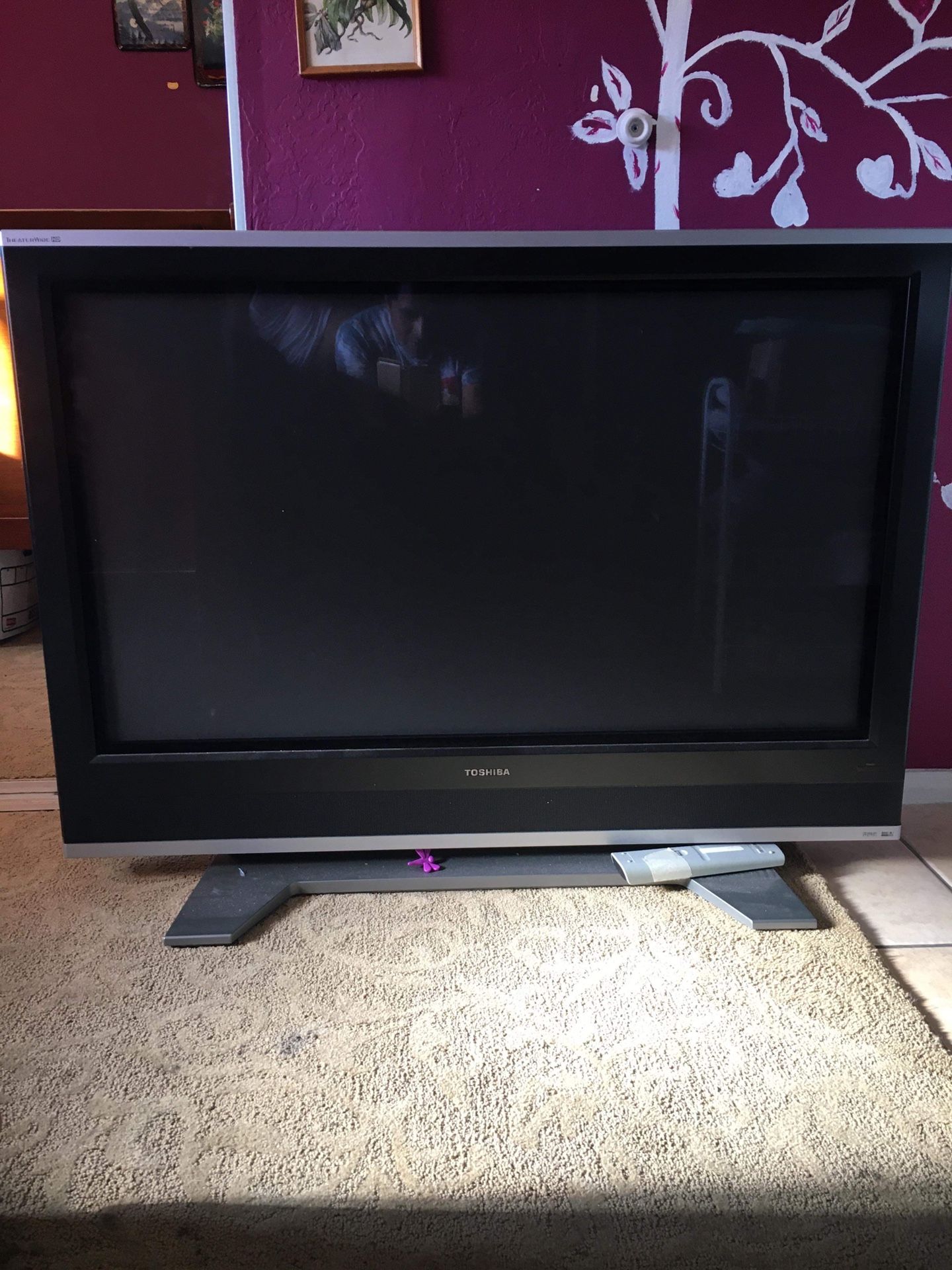 FREE FREE 50 inch Toshiba TV