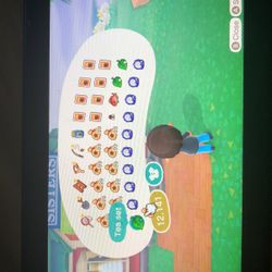 ACNH Animal Crossing New Horizons 40 Pocket Item Pick Up