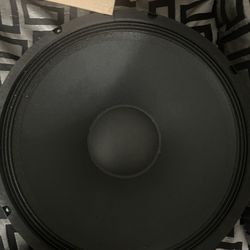 Peavey Pro 18” Speaker