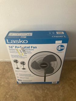 Fan