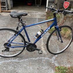 Giant Blue Womens Bike