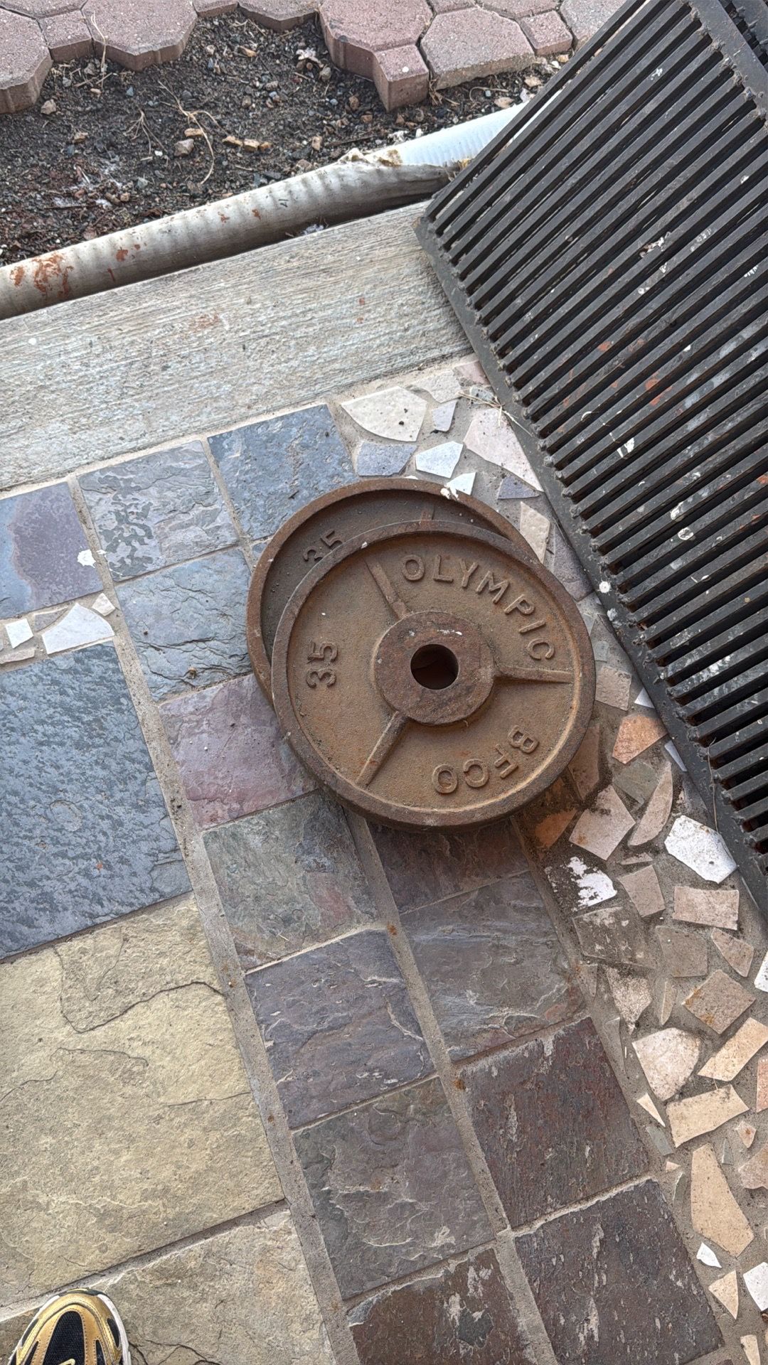 steel 35 olympics weight bfco