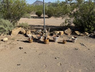 Misc. Pots