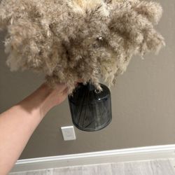 Decorative Plant Jars 