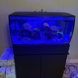 Fish Tank