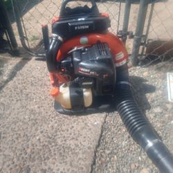 Echo Leaf Blower 