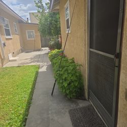 Daiwa Beefstick Surf Rod 8ft