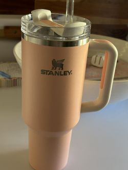 40oz Stanley Cups - Multiple Colors