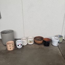 Plant Pots