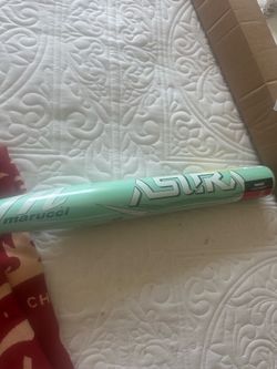 Fastpitch bat