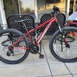 Mountain Bike