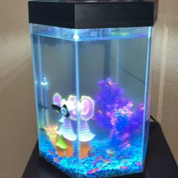 Fish Tank With Filter And Cleaning Supplies And Decor