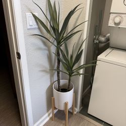 Faux Plant With Stand 