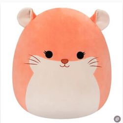 NWT Squishmallows 8" Plush Toy Erica The Chinchilla 