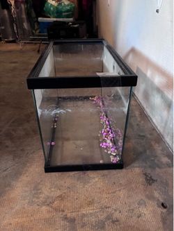 Tank for fish or turtles