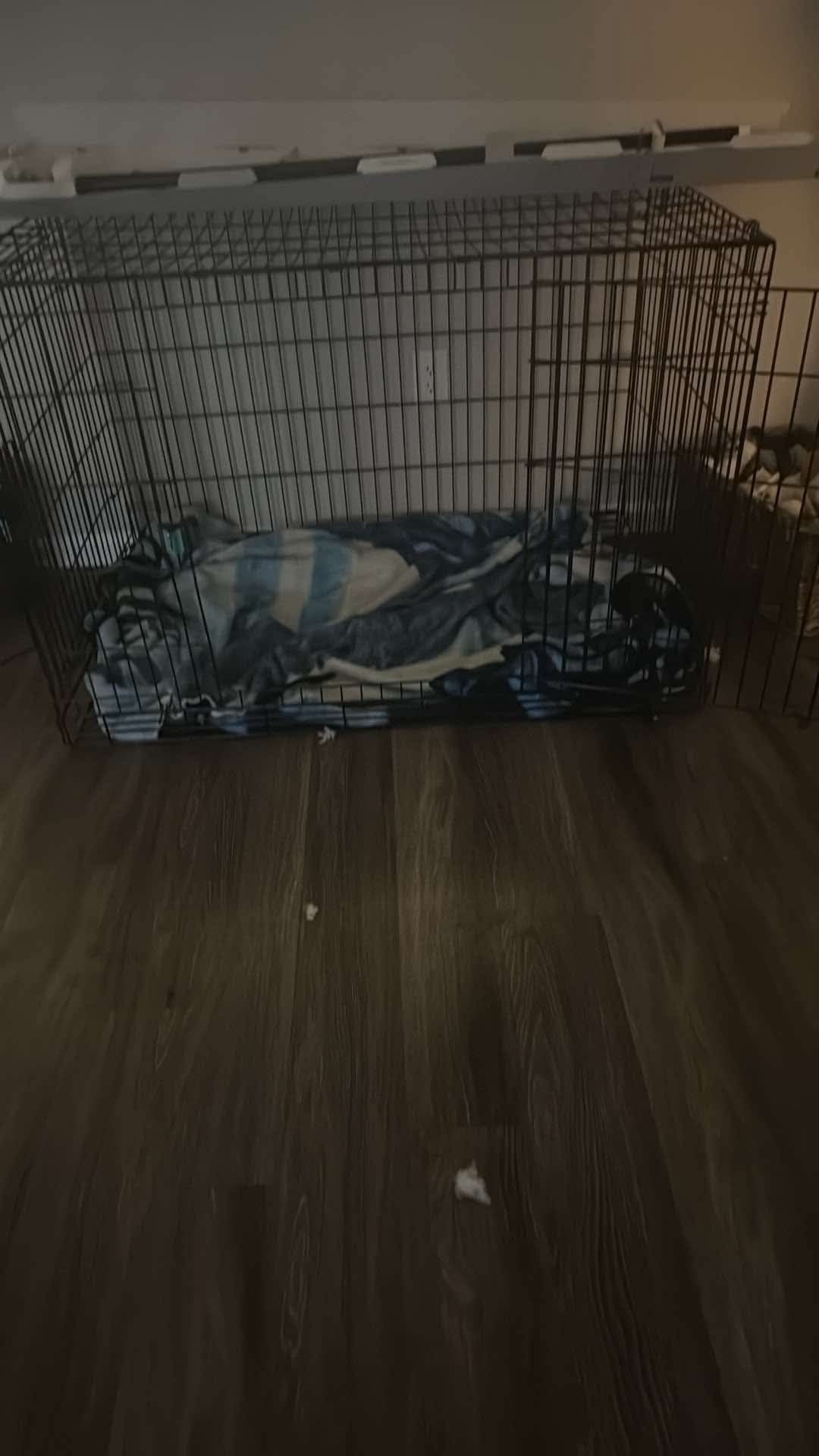 Extra Large Kennel
