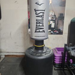 Everlast Punching Bag
