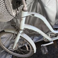 Beach Cruiser/Trek Youth Bike 