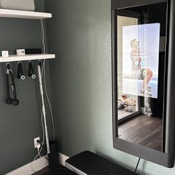 Tonal Smart Home Gym - Great Condition w/ All Accessories & Custom Shelves