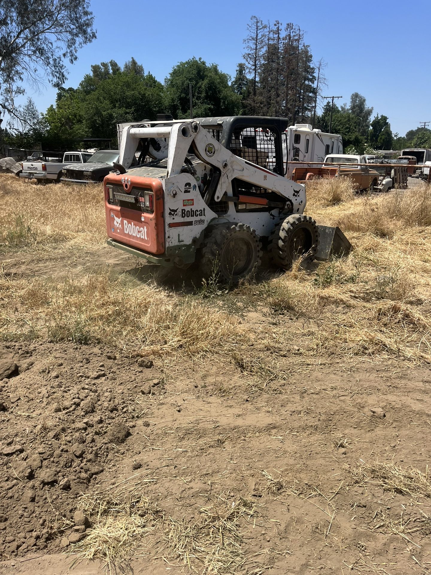 Bobcat En Cerbicio