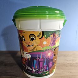 Disney World Popcorn Bucket. 