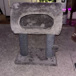 Cat Tower 