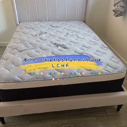 Queen Size Bed And Mattress