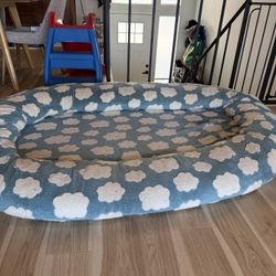 Human Dog Bed