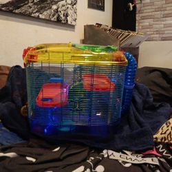 Hamster Cage