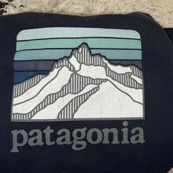 Patagonia men’s line logo Ridge uprisal hoodie blue size small