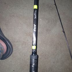 Gloomis E6x Rod