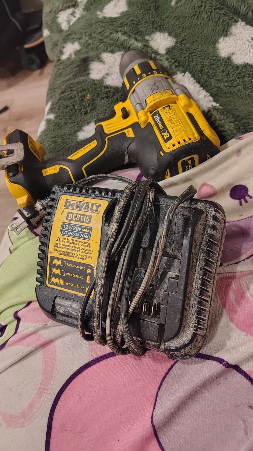 DeWalt lights and endoscope