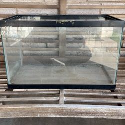 10 Gallon Aquarium 