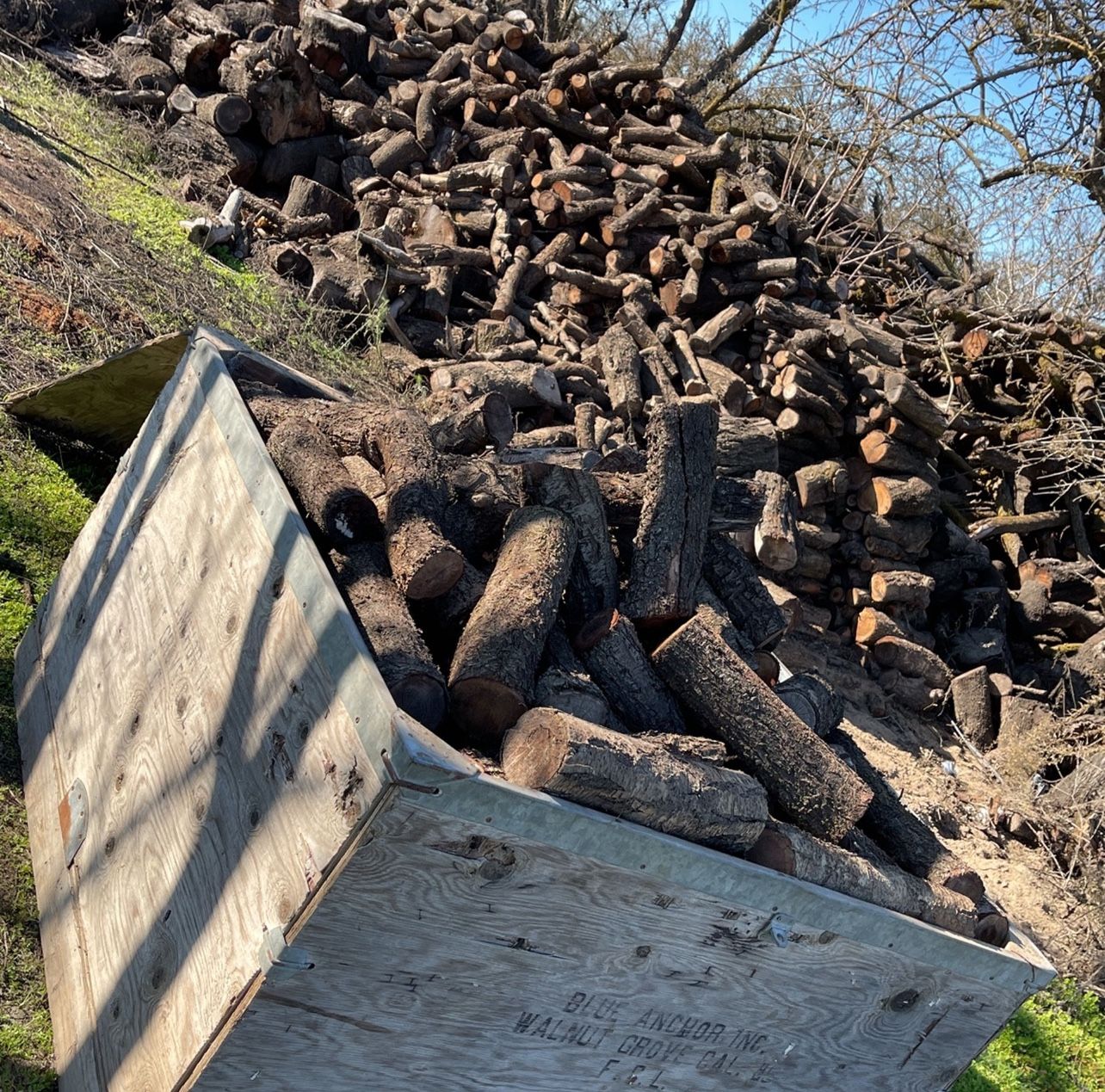 Seasoned Almond Firewood