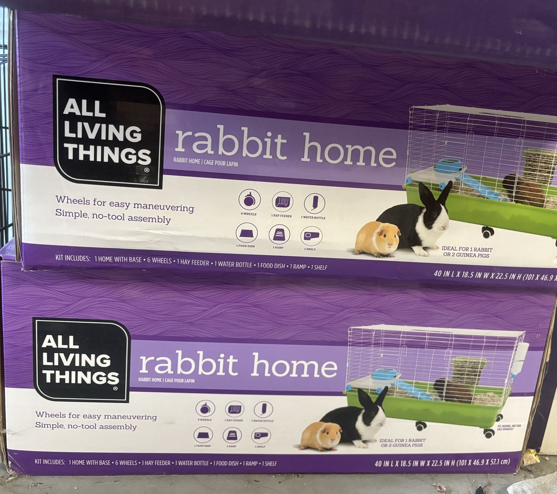 All Living Things Rabbit Home