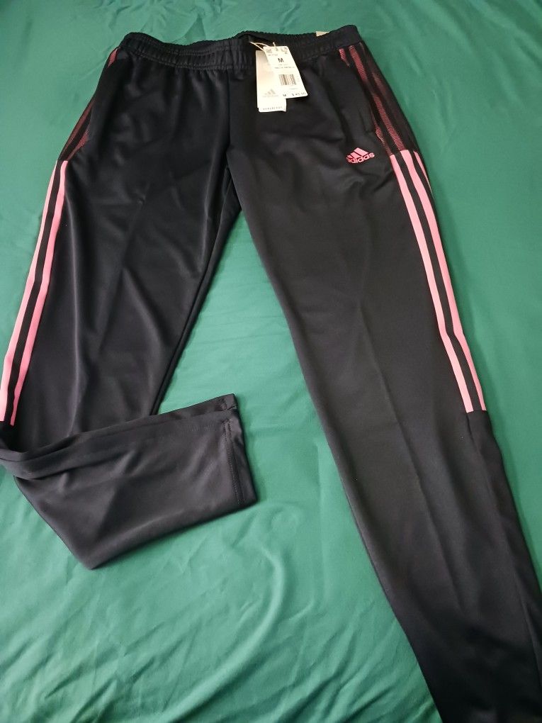 Women's Sweat Pants 