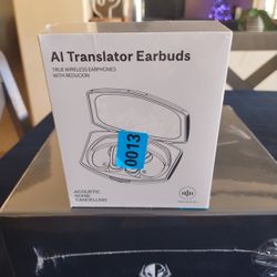 AI Earbuds