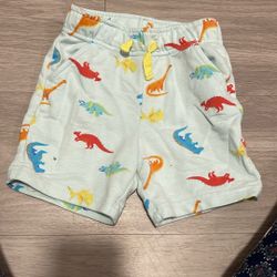 Dinosaur Shorts