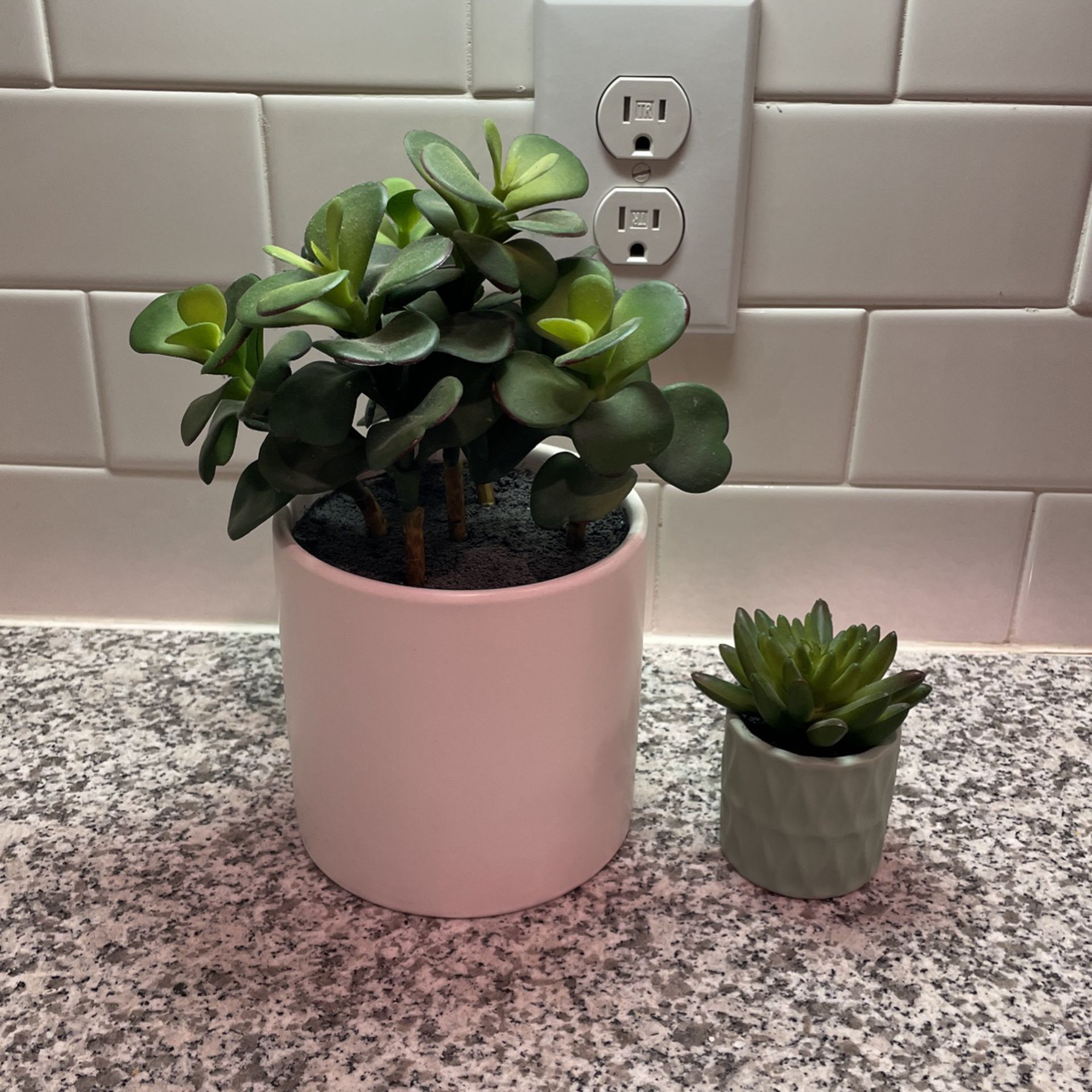 Two Artificial Plants