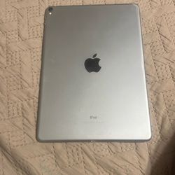 iPad Pro