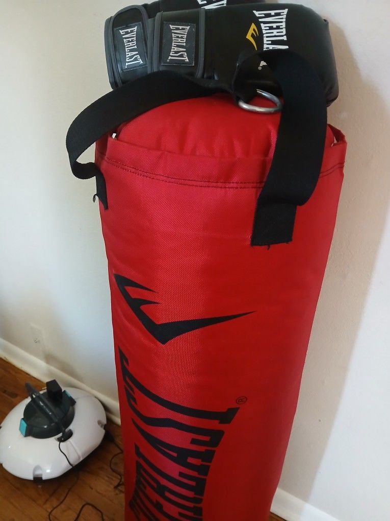 EverLast Punching Bag