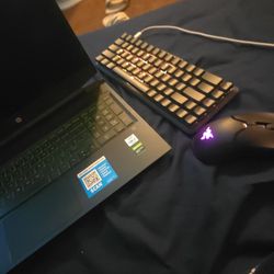 HP Pavillion Gaming Laptop(entry Level Or Mid Level)