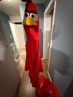 Red Angry Bird Costume