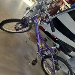 Trek Mountaintrack 60 Mountain Bike 