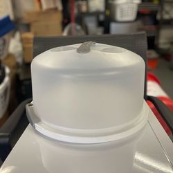 12" cake/ cookies container