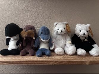 Beanie babies and buddies
