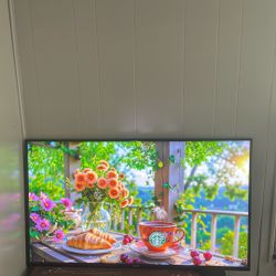 48-50” inch VISIO Great TV!!!!