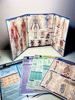 QuickStudy Academic Reference Guides Bundle