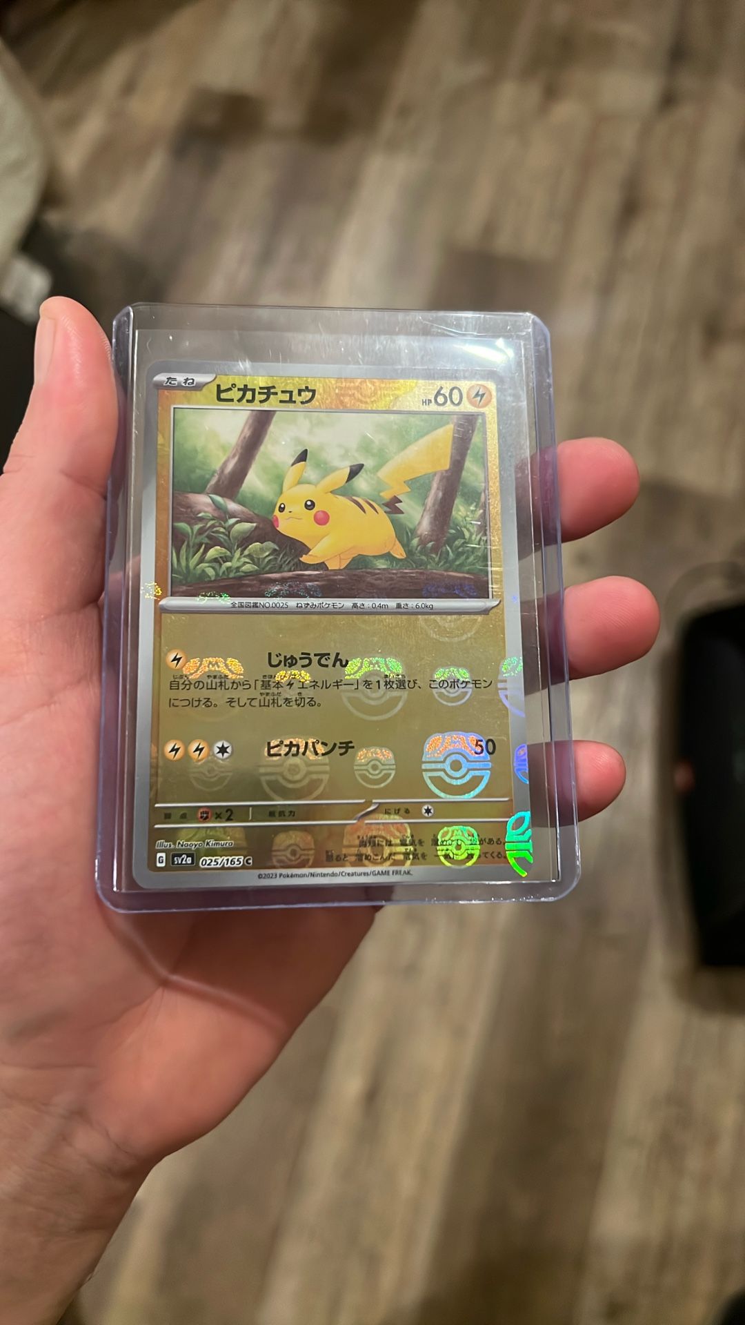 Pokemon Grail